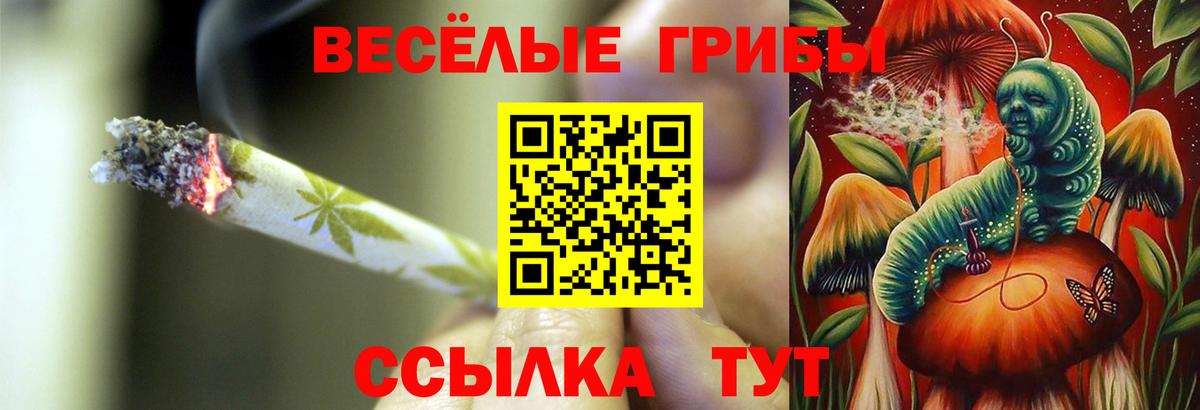 Галлюциногенные грибы прущие грибы Сосновоборск